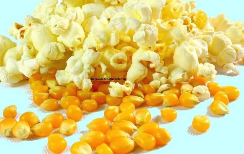 Premium popcornmais - premium,