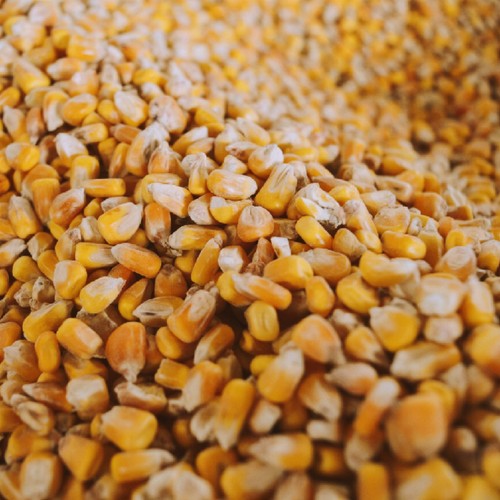 Agrar store 25kg mais - agrar-store,