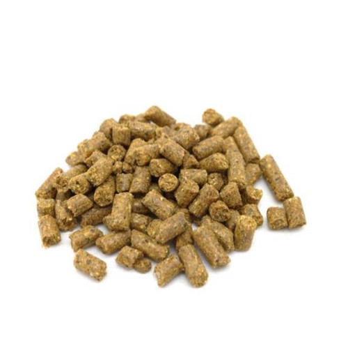 Carpline24 maispellets hanf - carpline24,