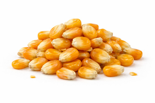 Popcorn mais maiskorn - popcorn,
