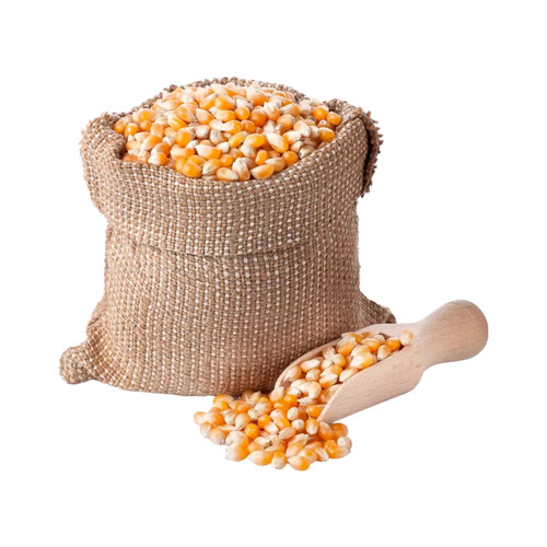 Mais 25kg futtermais - mais, 25kg,