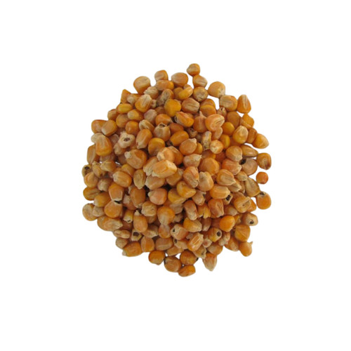 Mais 25kg futtermais gekörnt - mais,