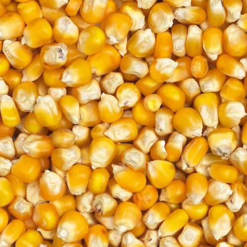Eurital yellow crisp - 5, kg