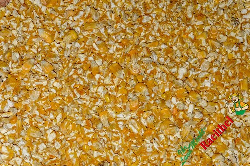 Mais gerissen 25 - (0,90€/kg),