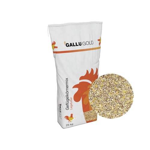 Gallugold hühner - gallugold, &